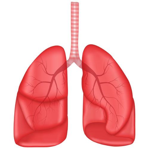 Respiratory