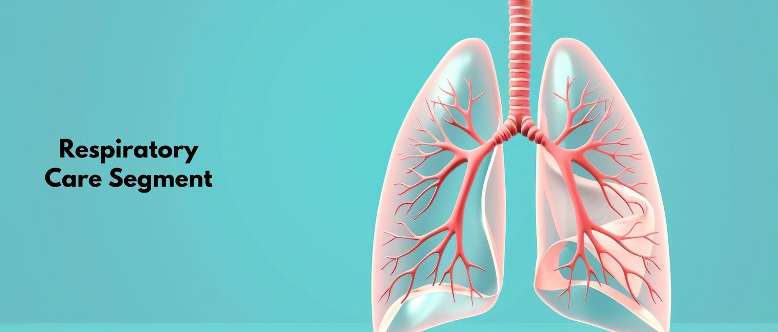 3-3 [Original Resolution]