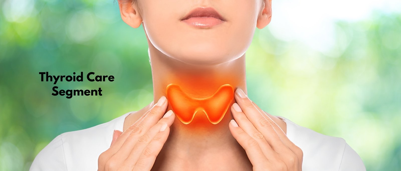 5-3 [Original Resolution]