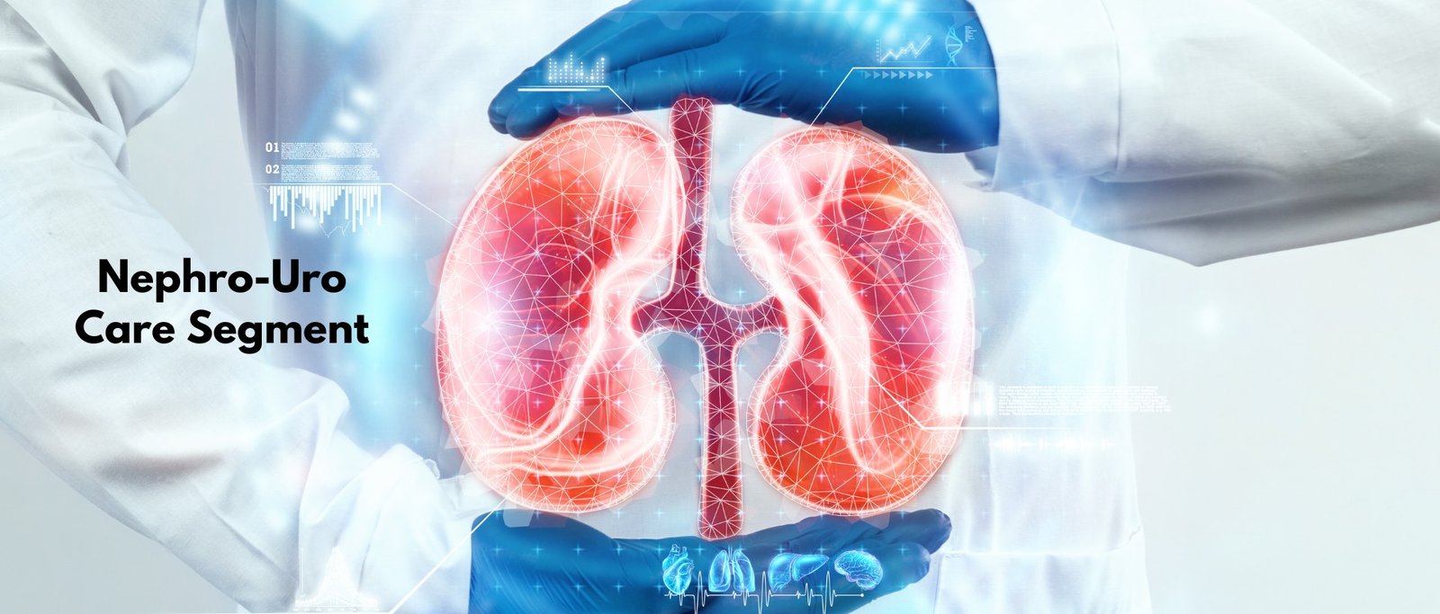 6-2 [Original Resolution]